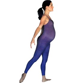 Image DVD Fusion Pre & Post Natal Protocol for Reformer, inglese