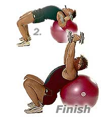 Image 2 - Liegende Hantelübung „Flyes“ auf SISSEL Gymnastikball