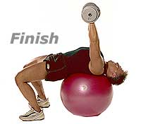 Image 2 - Hantelpresse auf SISSEL Gymnastikball