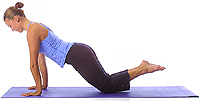 Image 1 - Yoga Pose: Anfängerplanke