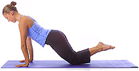 Image 1 - Yoga Pose: Anfngerplanke