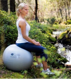 Image SISSEL® SECUREMAX Ball 75 cm Pallone fisioterapia e pilates Argento